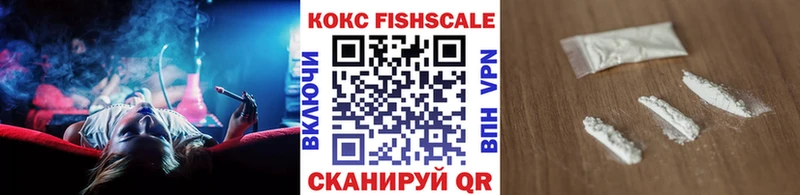 Cocaine FishScale  как найти закладки  Андреаполь 