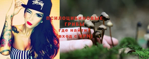 соль курить ск Алзамай