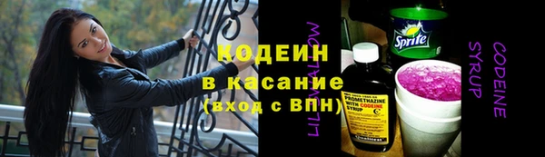 прущие грибы Рославль