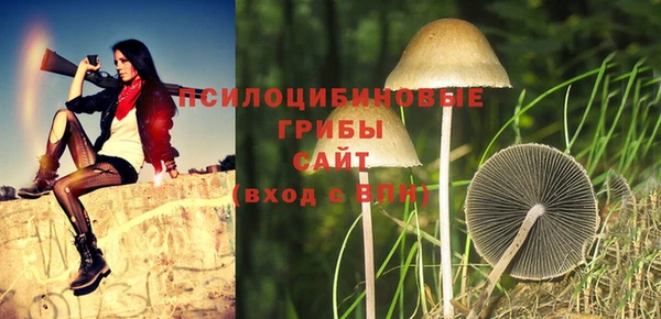 твердый Алексин
